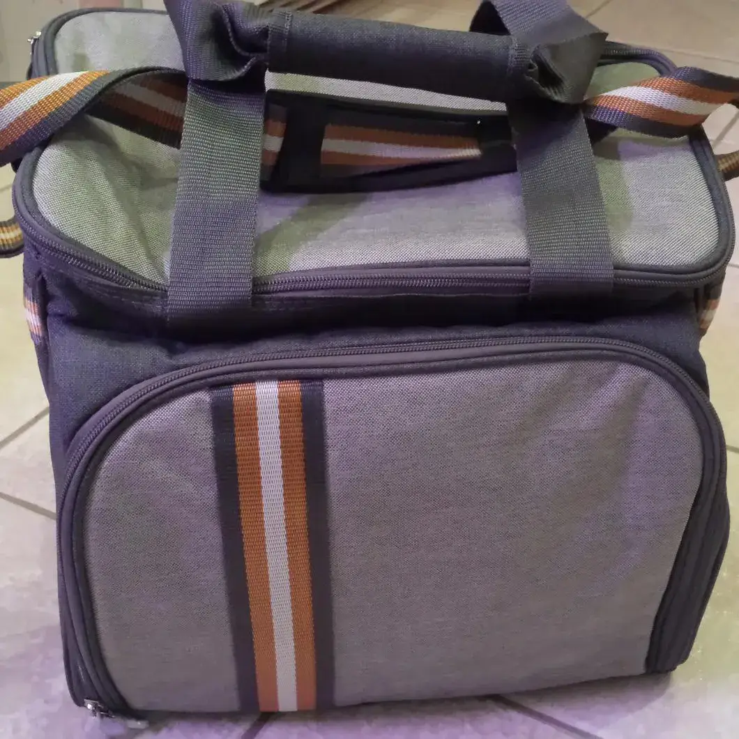Portable Picnic Or Lunch Bag — Picnic Programs construction and performance-test reference